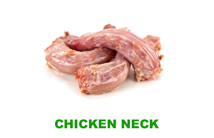 chickeeee-1.jpg